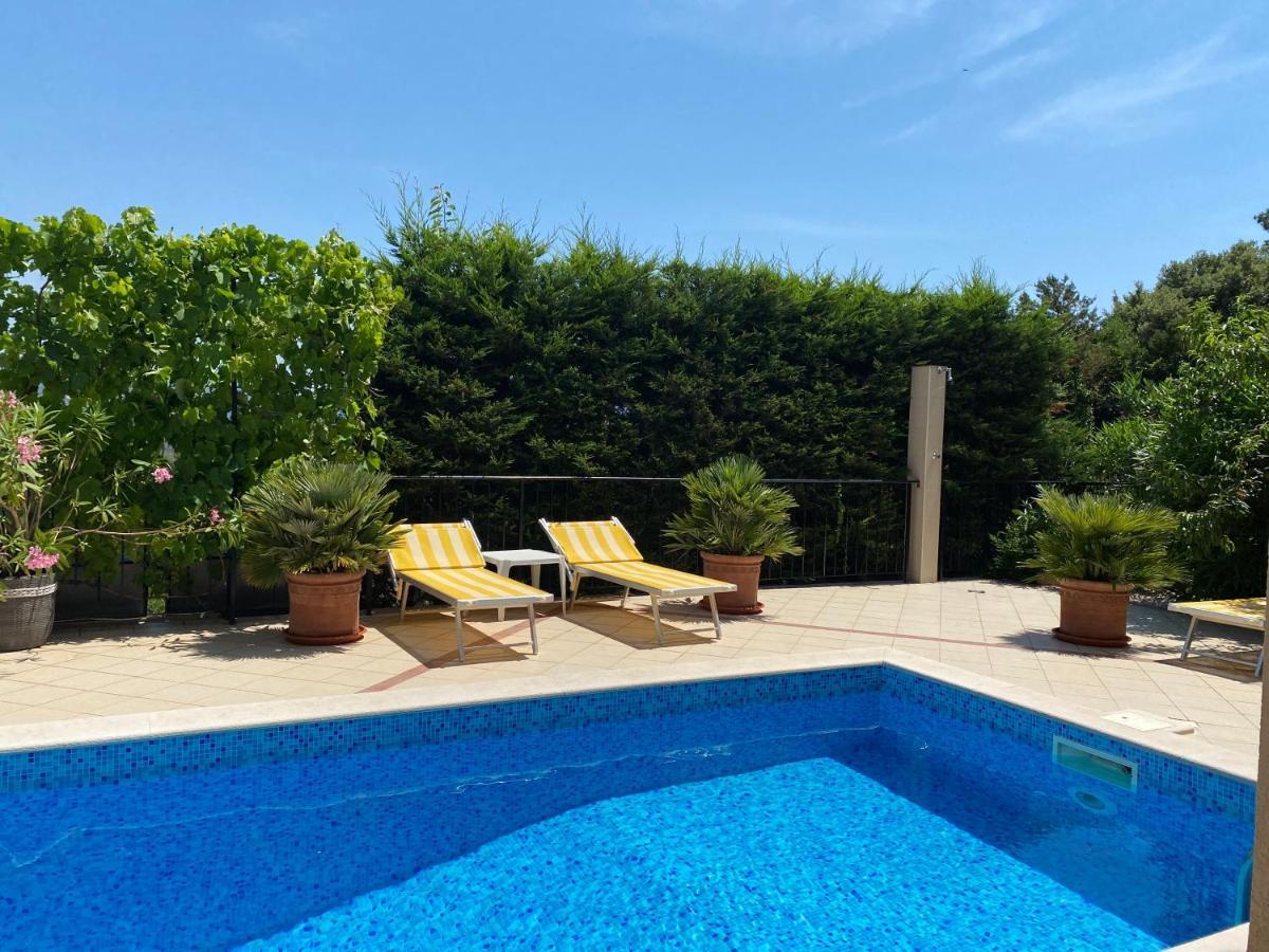 Apartments Villa Viktoria 蒂瓦特 外观 照片